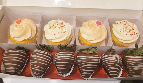 Colossal Bakes Treat Boxes